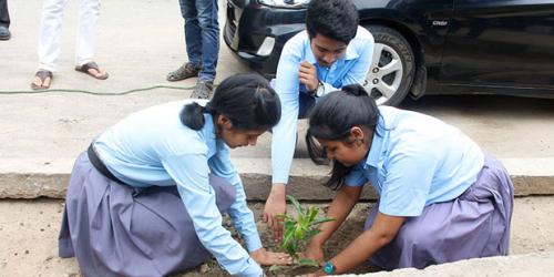 Plantation Drive Programme at Noonmati Area on Maniram Dewan Road, 23-08-2018